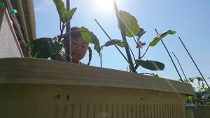 おはようでゅびでゅば！｜ロカビリーおはようソング｜2016-05-18｜GarageBand|No.002