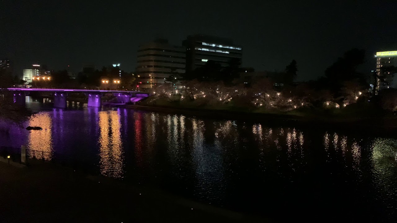 River and yozakura. If you try to separate beautiful things a little.