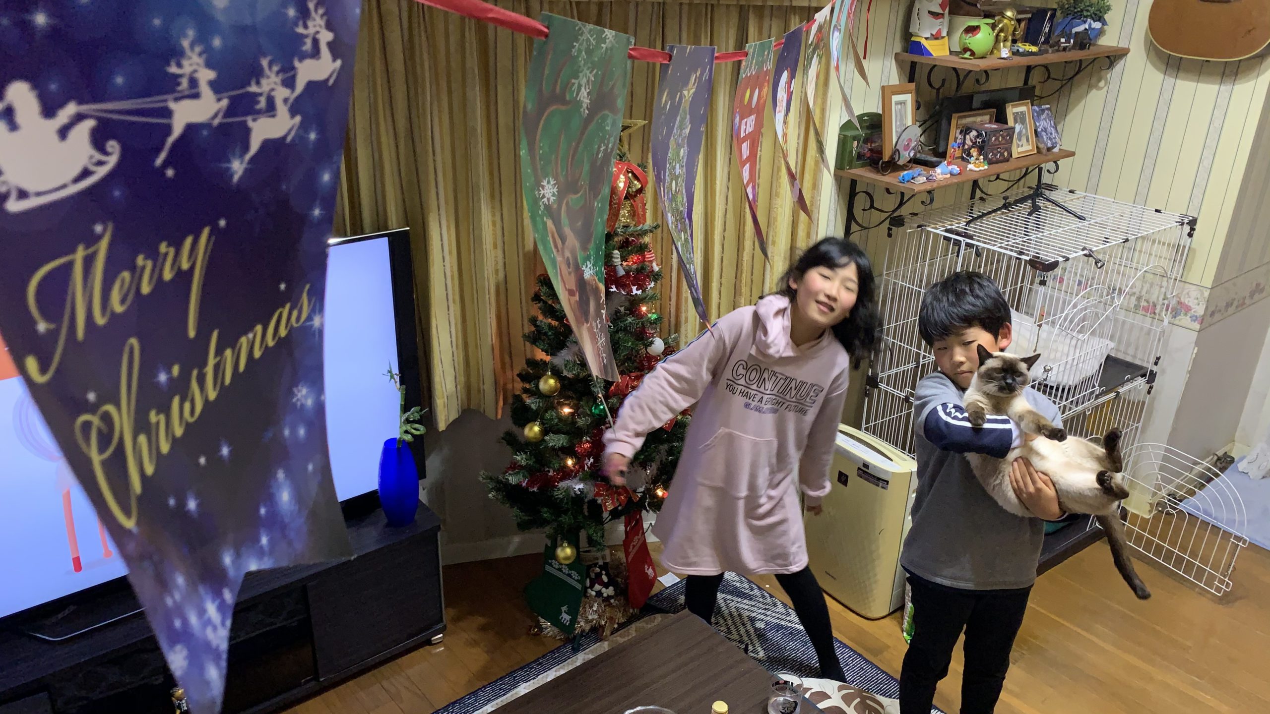 メリークリスマス🎄