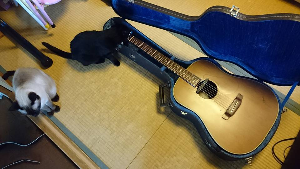 アコースティックありがとう♪ 掃除してしまう展開！｜2016-06-18